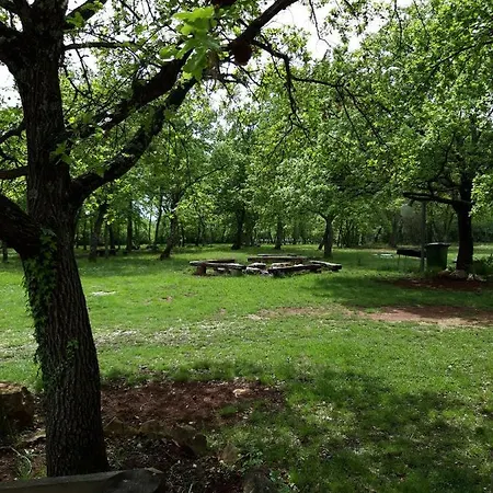 Bikers Camp Kemping *